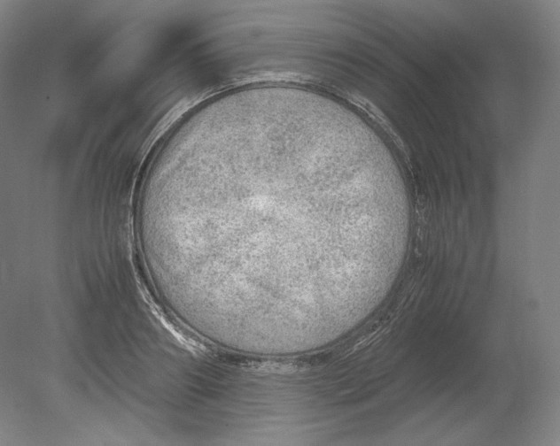 X0000080160890200701051602