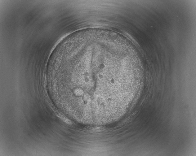 X0000080160891200701051602