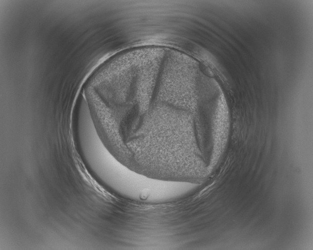 X0000080160892200701051602