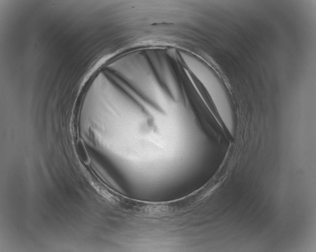 X0000080160893200701051602