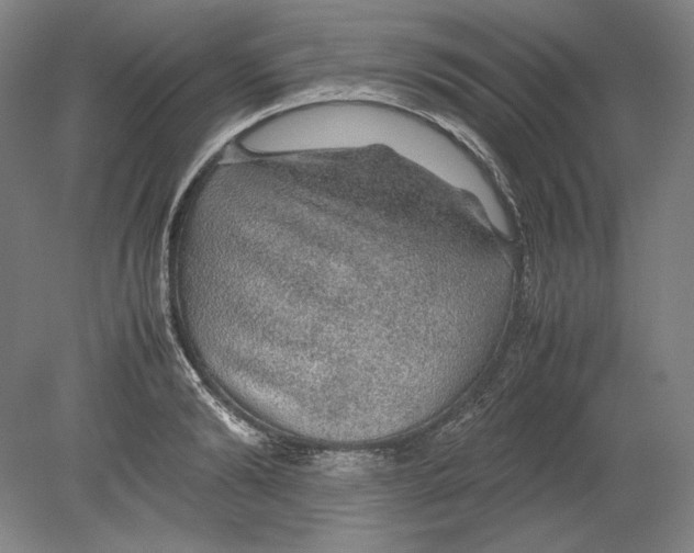 X0000080160894200701051602