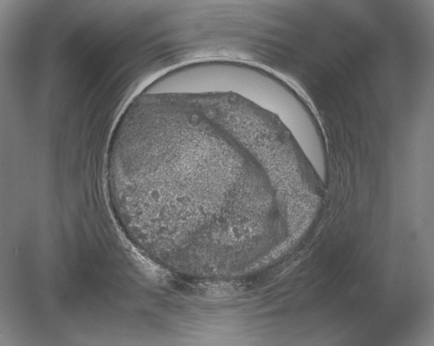 X0000080160895200701051602