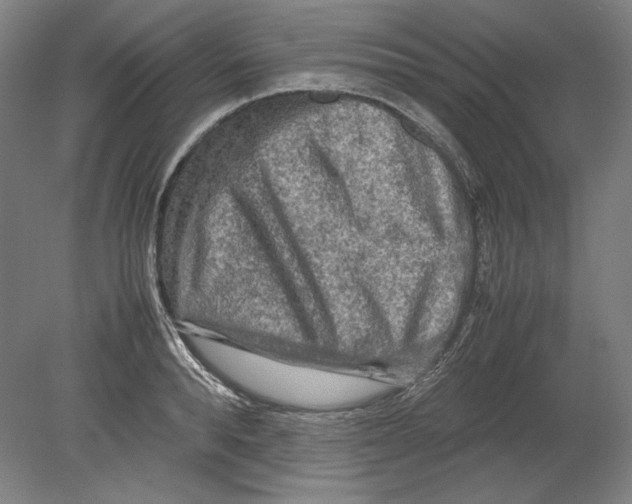 X0000080160896200701051602