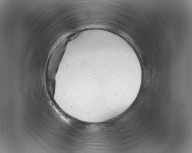 X0000080160898200701051602