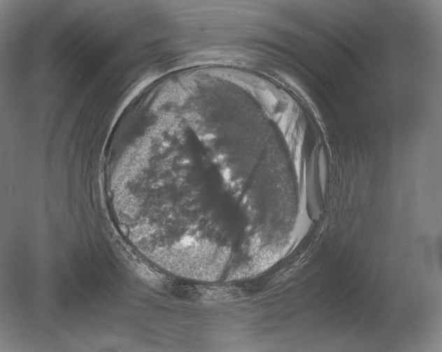 X0000080160899200701051602