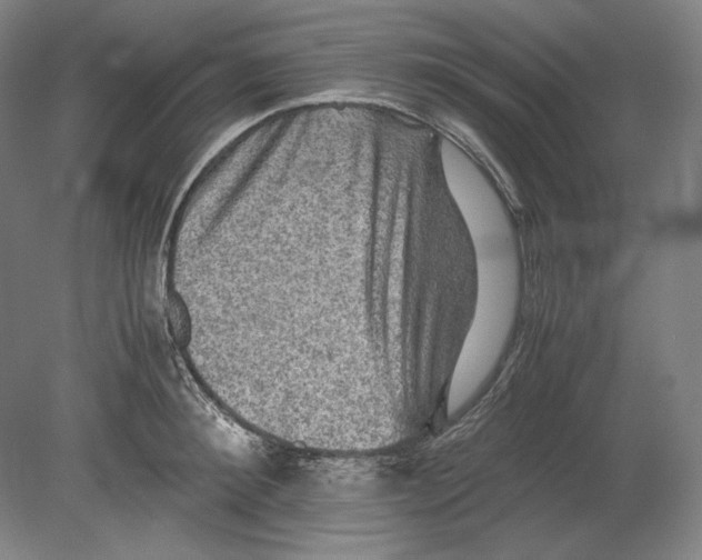 X0000080160900200701051602