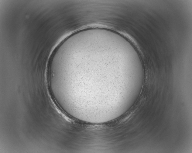 X0000080160902200701051602