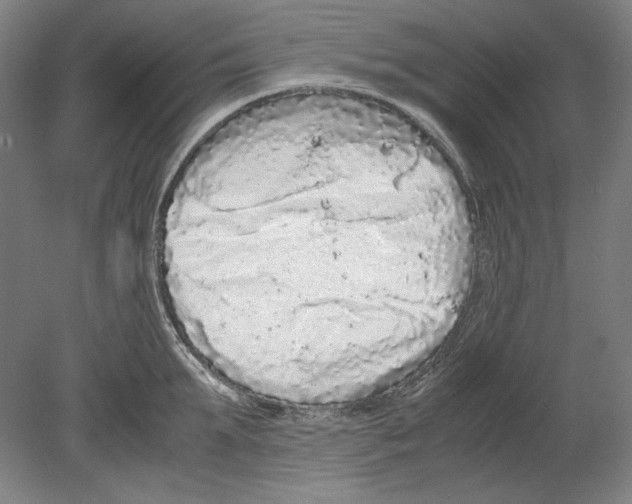 X0000080160903200701051602