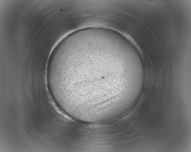 X0000080160904200701051602