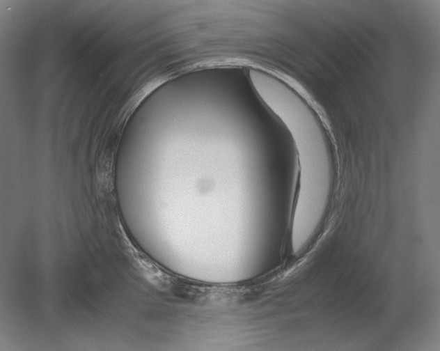 X0000080160905200701051602