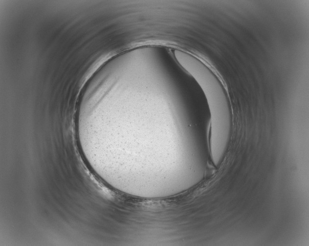 X0000080160906200701051602