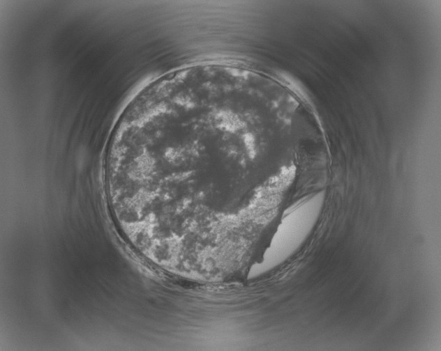 X0000080160907200701051602