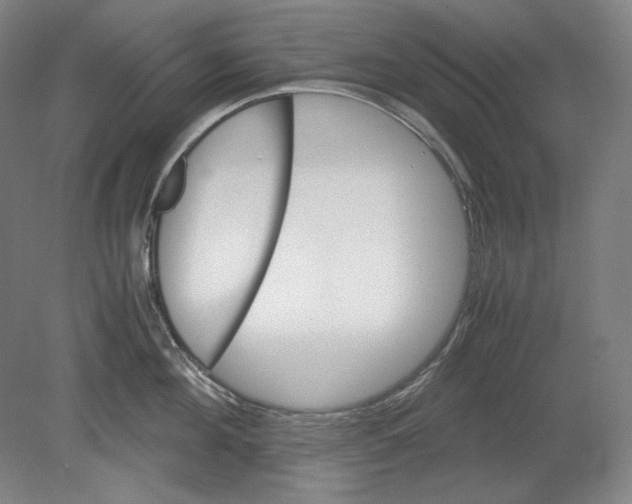 X0000080160908200701051602