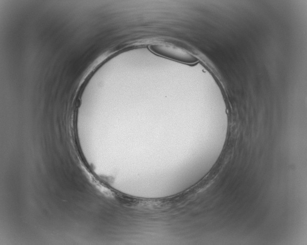 X0000080160909200701051602