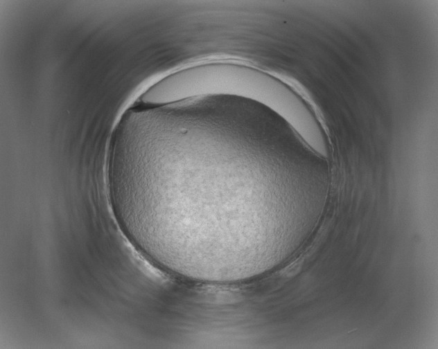 X0000080160910200701051602