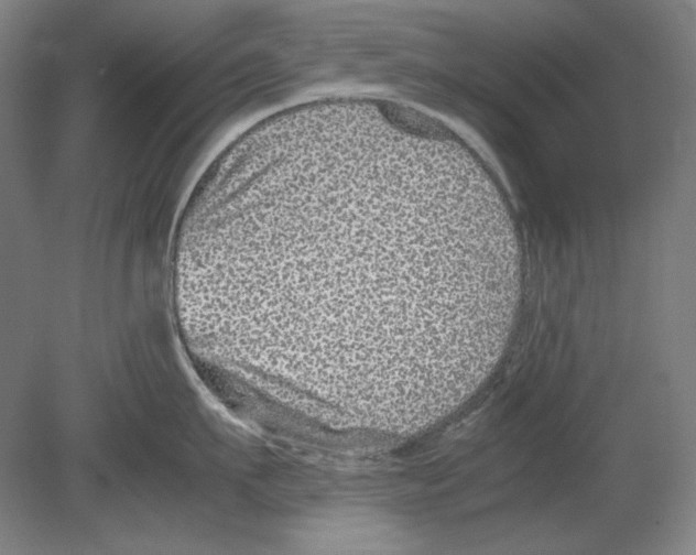 X0000080160911200701051602