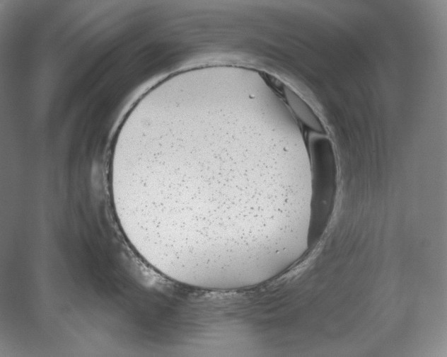 X0000080160912200701051602