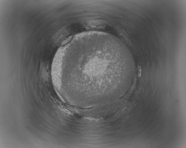 X0000080160915200701051601