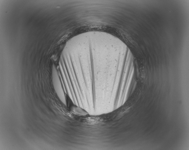 X0000080160916200701051601