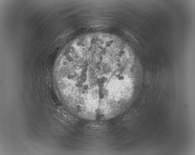 X0000080160917200701051601