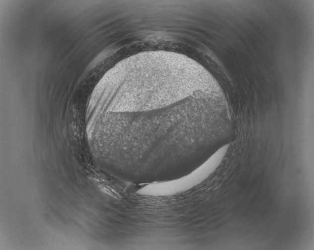 X0000080160919200701051601