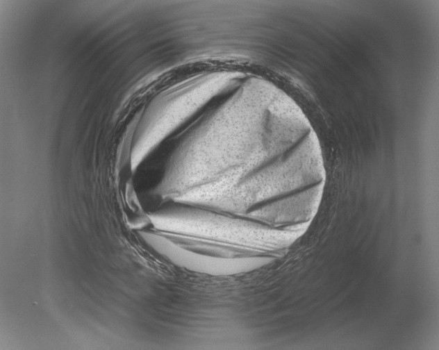 X0000080160920200701051601