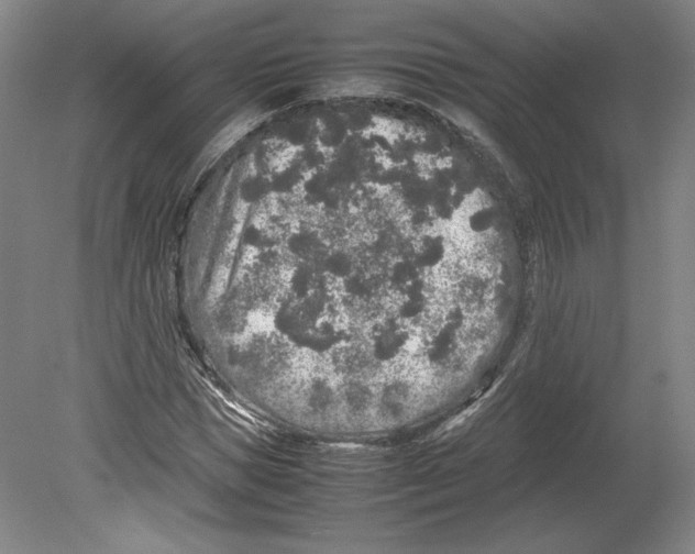 X0000080160921200701051601