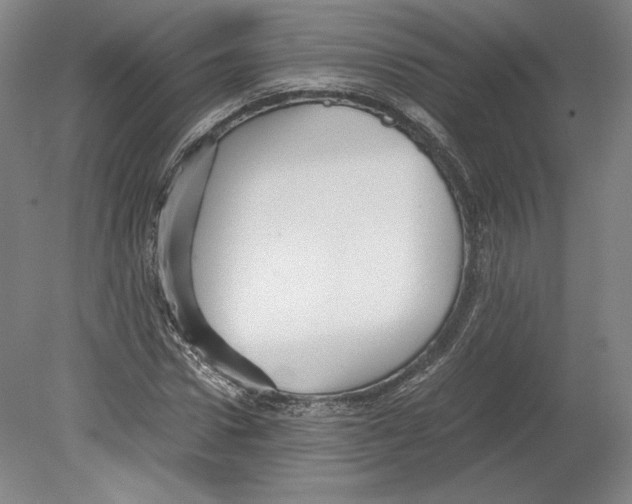 X0000080160922200701051601