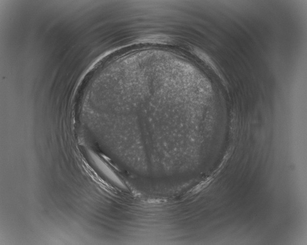 X0000080160923200701051601