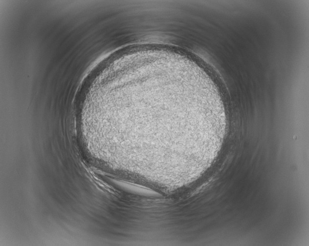 X0000080160925200701051601