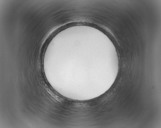 X0000080160927200701051601