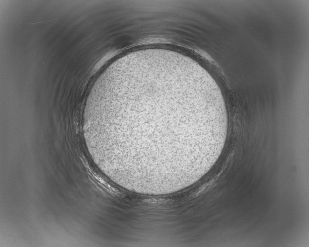 X0000080160929200701051601