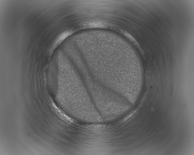 X0000080160930200701051601