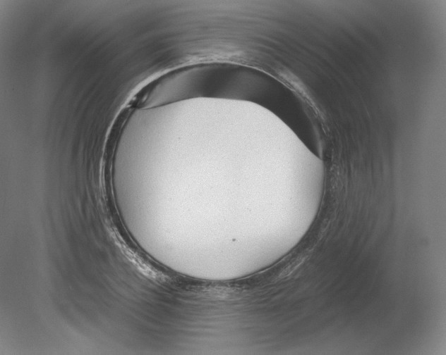 X0000080160932200701051601