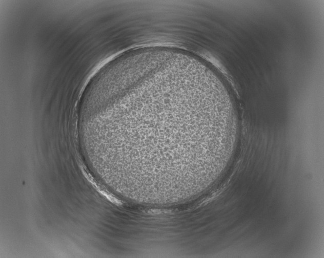 X0000080160933200701051601