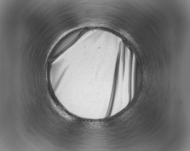 X0000080160934200701051601