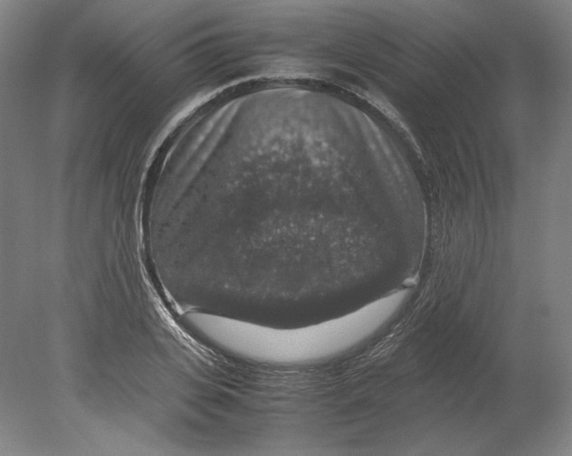 X0000080160935200701051601