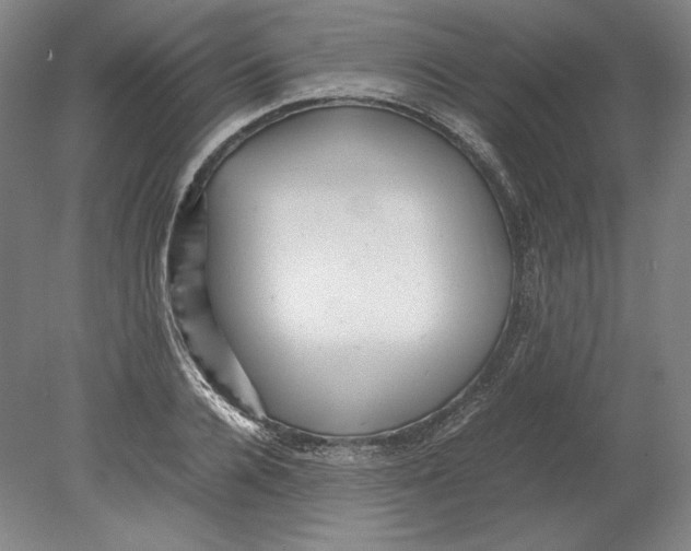 X0000080160936200701051601