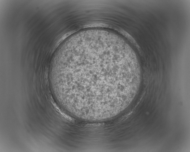 X0000080160937200701051601