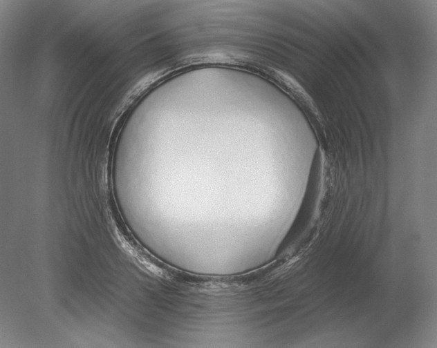 X0000080160938200701051601