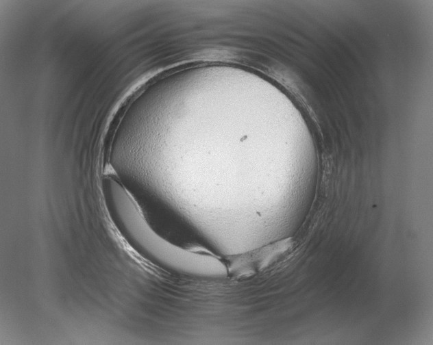 X0000080160939200701051601