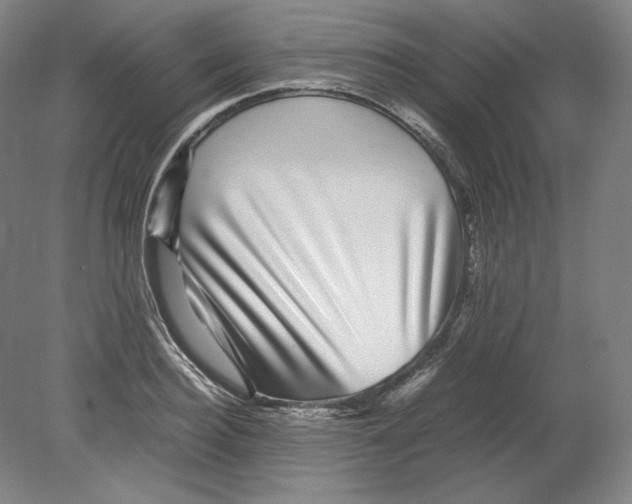 X0000080160940200701051601