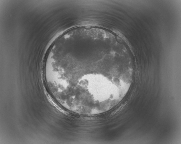 X0000080160941200701051601