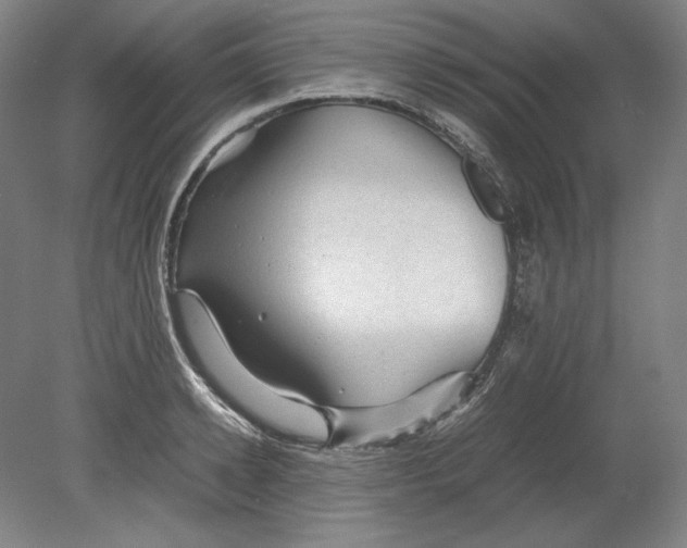 X0000080160942200701051601