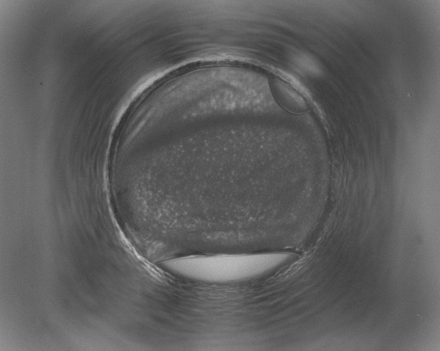 X0000080160943200701051601