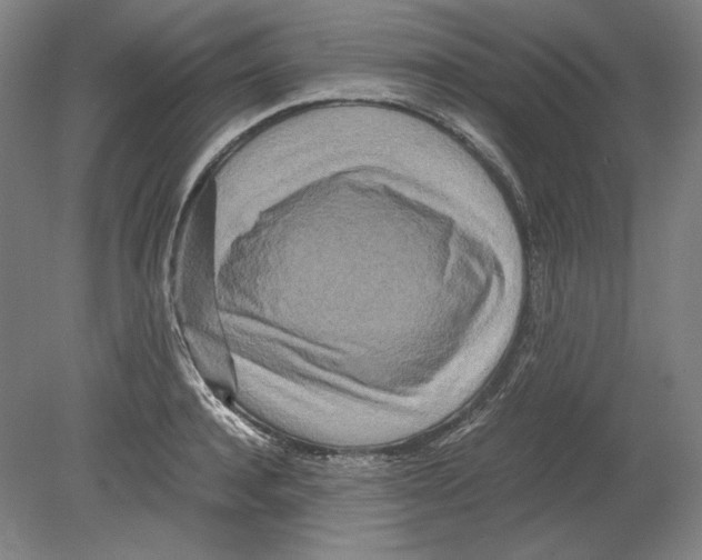 X0000080160944200701051602