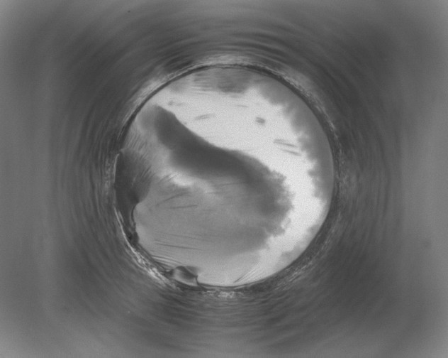 X0000080160945200701051602