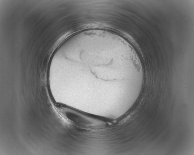 X0000080160946200701051602