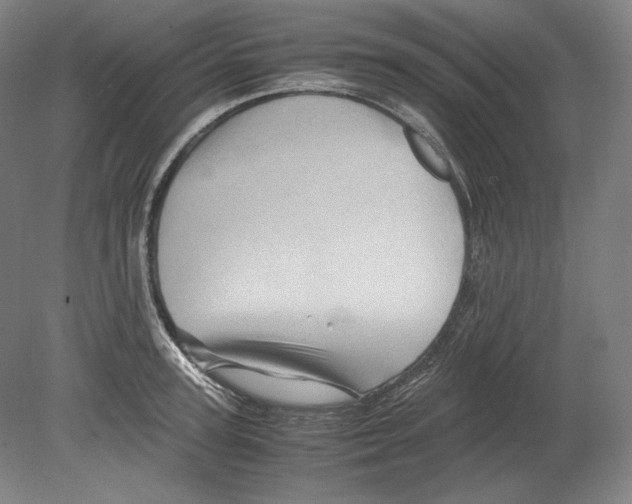 X0000080160947200701051602