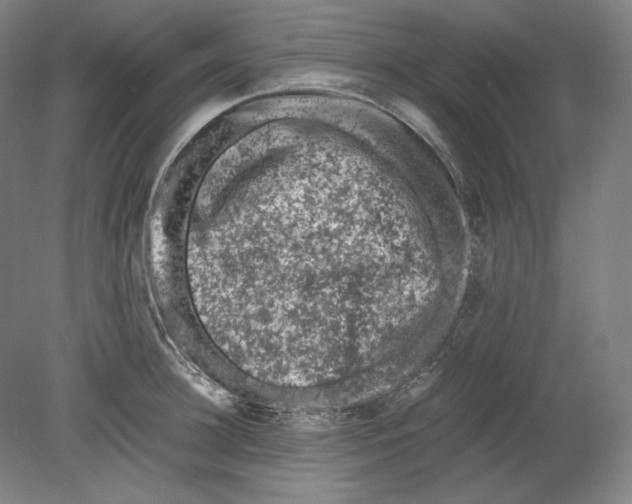 X0000080160948200701051602